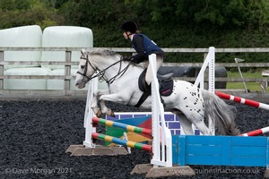 Class 3 -  Fences not above 2'3